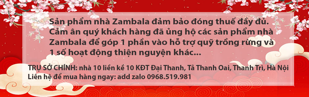 https://zambala.vn/