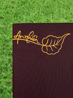 Đệm Ngồi Thiền Hợp Phong Thủy – Có Thật Sự Quan Trọng?